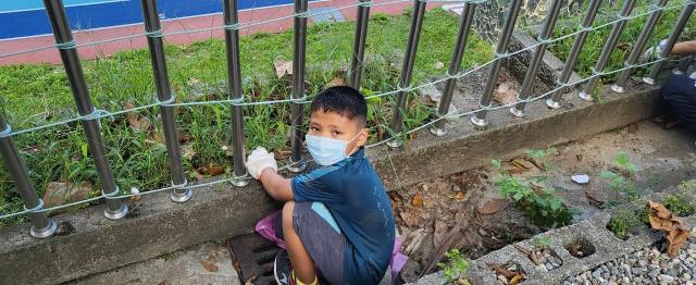 https://www.szps.hlc.edu.tw/uploads/tadgallery/2023_12_26/2646_LINE_ALBUM_112學年度原住民族社團＜綠手指＞（低年級）_231225_12.jpg 