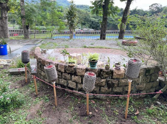 https://www.szps.hlc.edu.tw/uploads/tadgallery/2023_12_26/2767_LINE_ALBUM_112學年度原住民族社團＜綠手指＞（低年級）_231225_133.jpg 