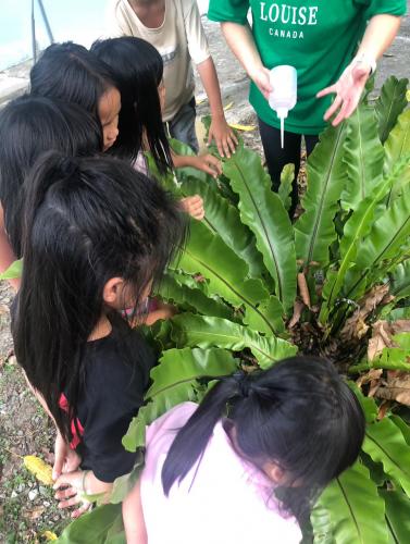 LINE_ALBUM_112學年度原住民族社團＜綠手指＞（低年級）_231225_31.jpg