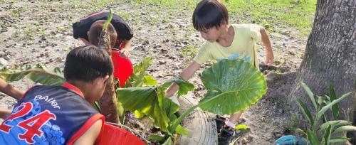 LINE_ALBUM_112學年度原住民族社團＜綠手指＞（低年級）_231225_49.jpg